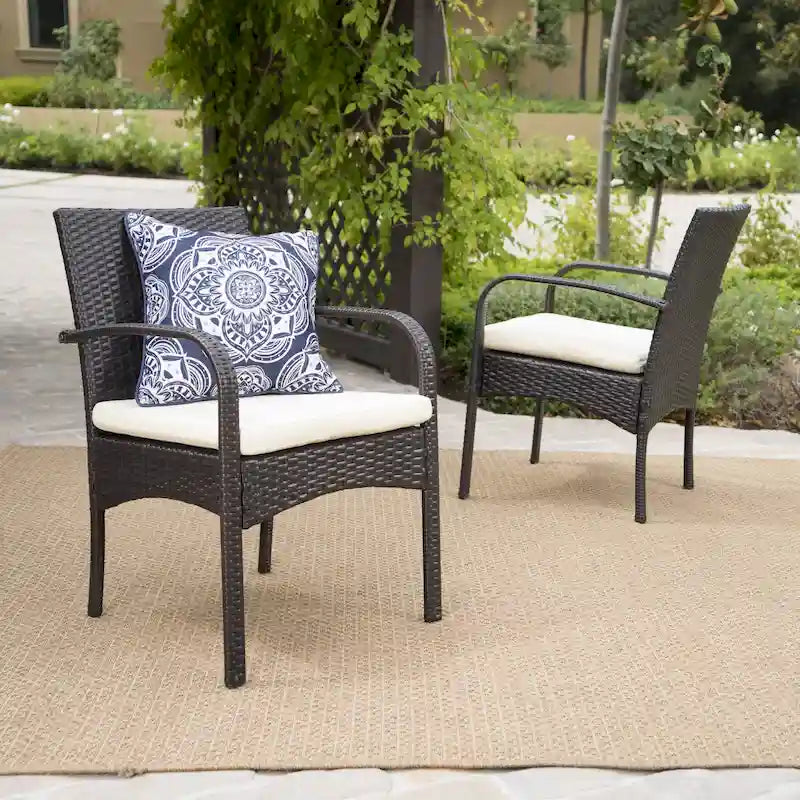 Dining Chair Set of 2