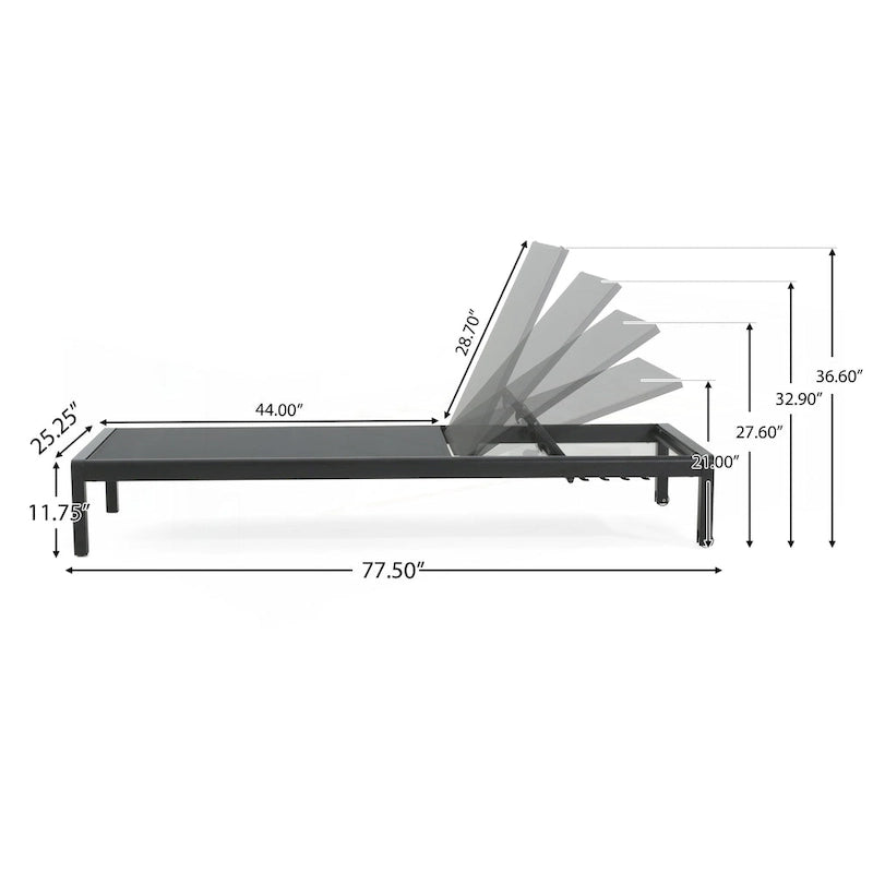 Outdoor Chaise Lounge Chair Set of 2
