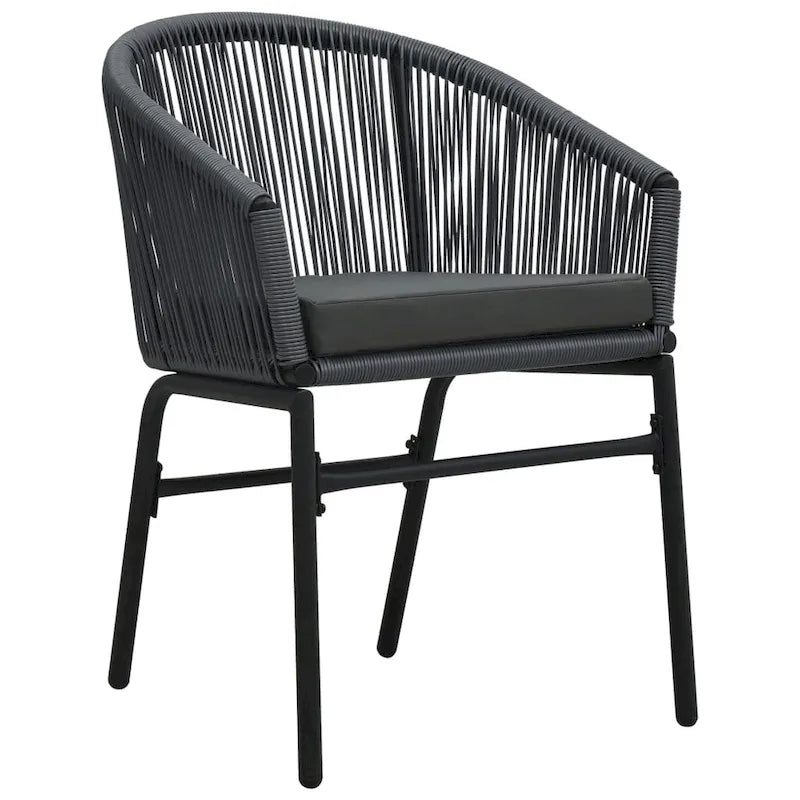 vidaXL Patio Chairs 2 Pcs Wicker Patio Dining Chair with Cushion PE Rattan