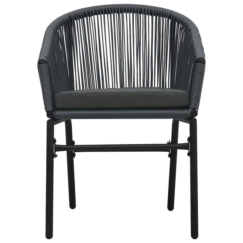 vidaXL Patio Chairs 2 Pcs Wicker Patio Dining Chair with Cushion PE Rattan